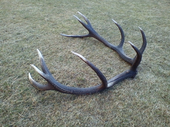 Spomienka na mojé prvé zhody