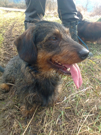 Na dnešnej prechádzke