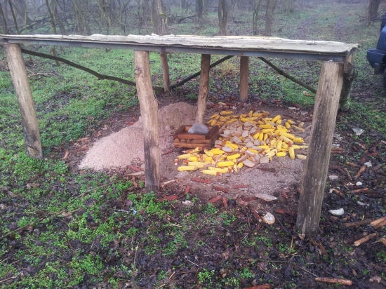 Dnešné Trojkráľové.....