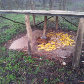 Dnešné Trojkráľové.....