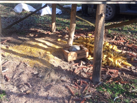 ...dnes-dobrú chuť...