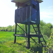 ...konečne vonku...