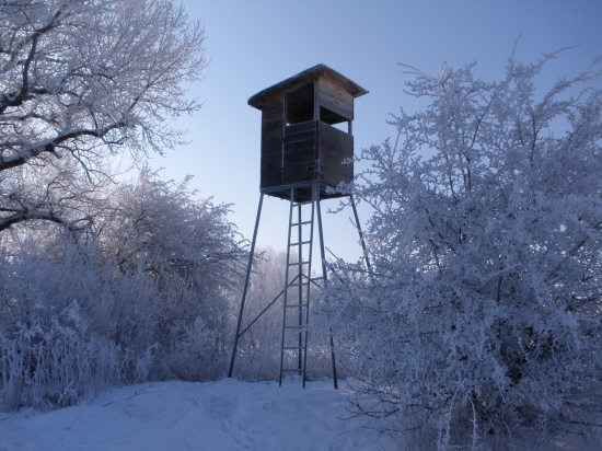 ...ešte jeden zimný...