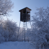 ...ešte jeden zimný...