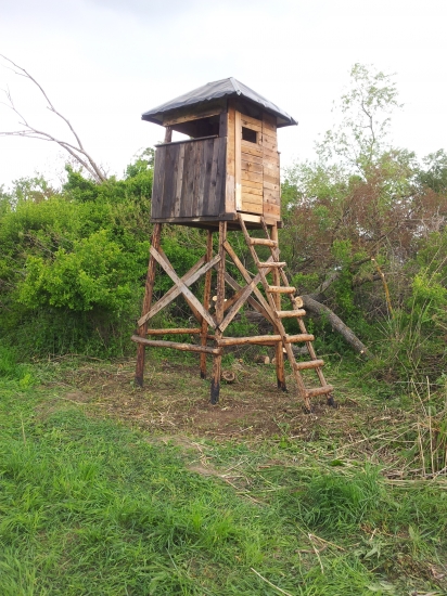 ...dnes vynesený...