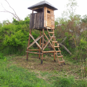 ...dnes vynesený...