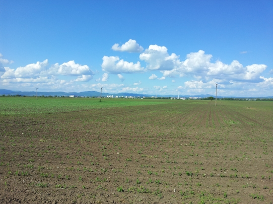 ...pohľad z revíru na mesto...