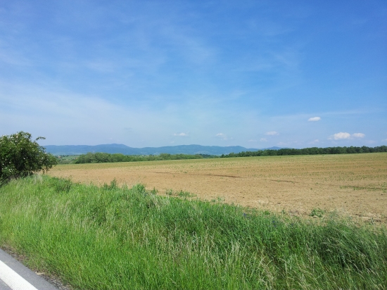 Túlal som sa u susedov...