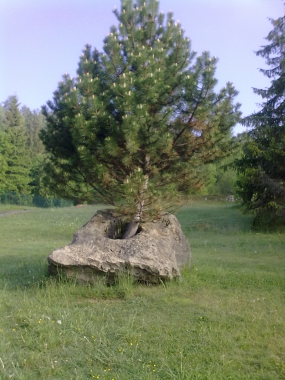 ...no uvidíme o 100 rokov... :-)