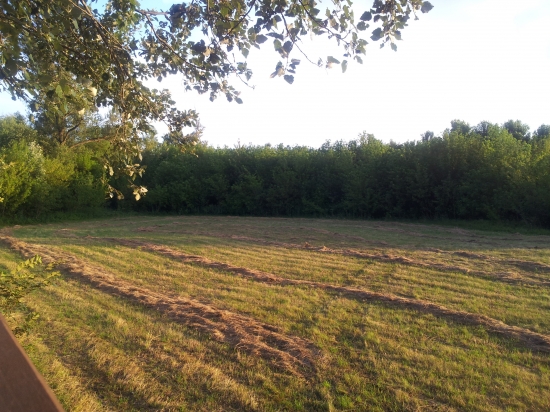 Pohľad z posedu (z ľava)