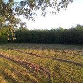 Pohľad z posedu (z ľava)