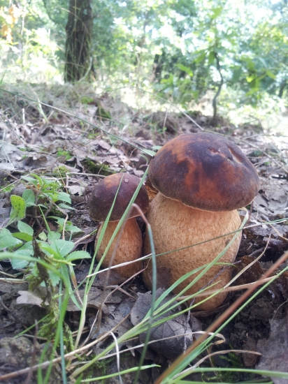 Konečne aj u nás... :-)