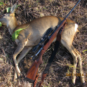 vychodená, staršia, jalová...