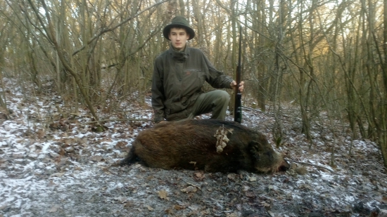 Decembrové diviača