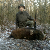 Decembrové diviača