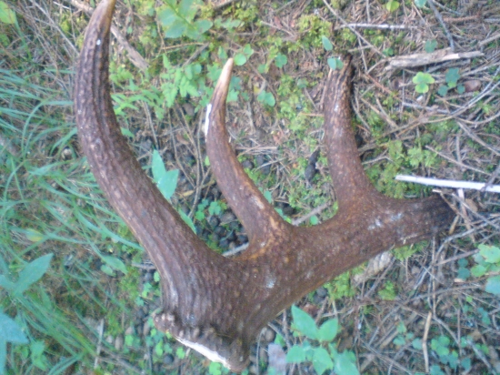 Aj taký poteší ...