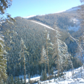 Dnes pod Kráľovou ...