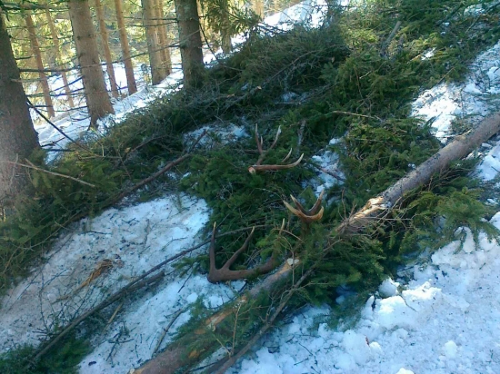 Len tak si ležali ..kamarátove..