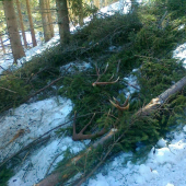 Len tak si ležali ..kamarátove..