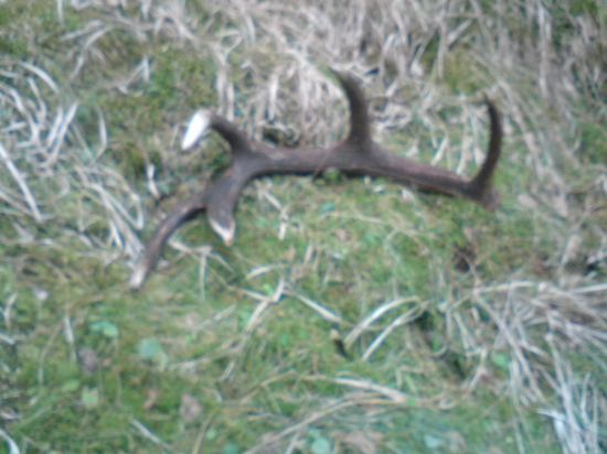 Trojkilová nádhera :-)