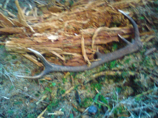 z predvčera..v mladine