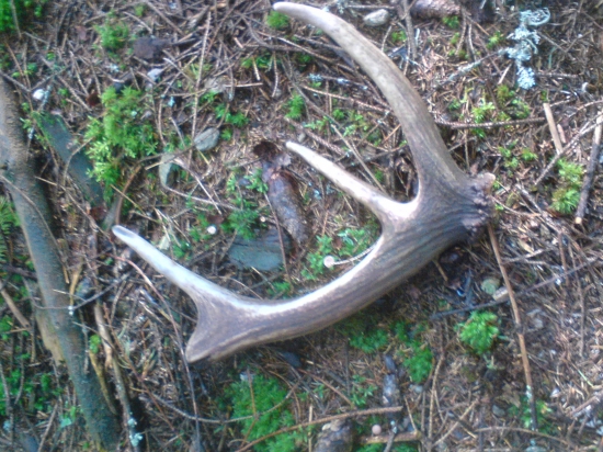 len tak si tam ležal ..