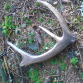 len tak si tam ležal ..