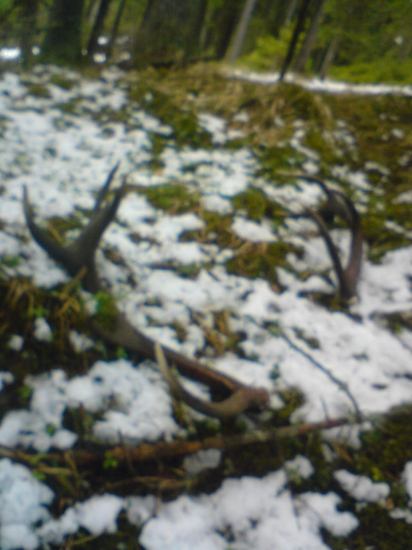 Spomienka marec 2014