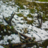 Spomienka marec 2014