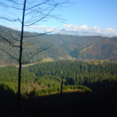 Moj raj