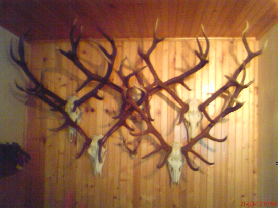 Niečo z môjho interiéru..