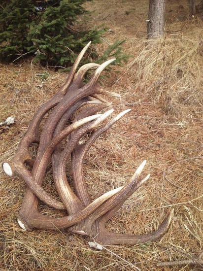 konečne. sa to. rozbehlo