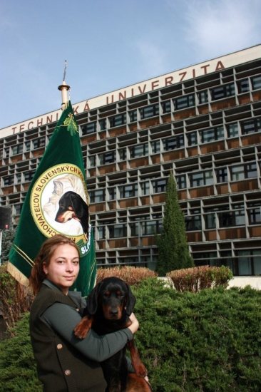 Nerinka ,výstava Zvolen 2013