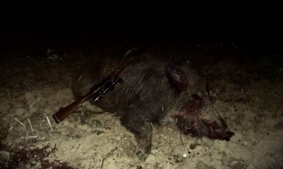 Kanček