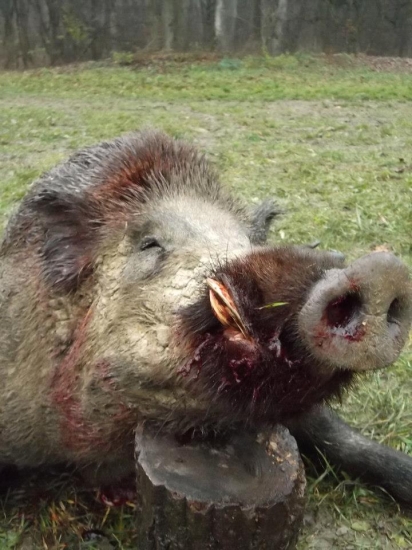 Kanček zo Spoločnej