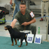 Medzinárodná výstava Bratislava 2011