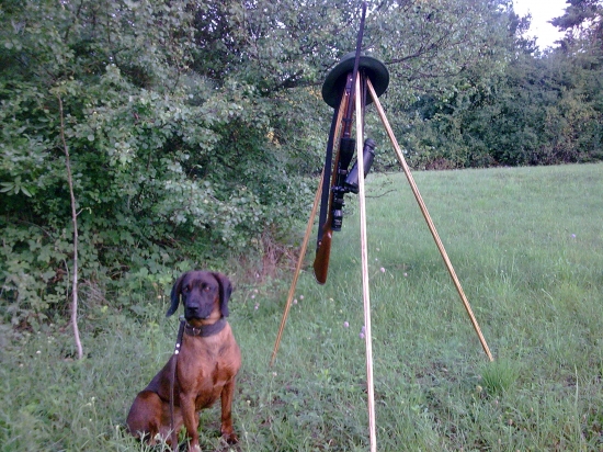 Bora Bročkeje dolina