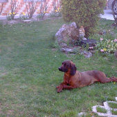 relaxujem