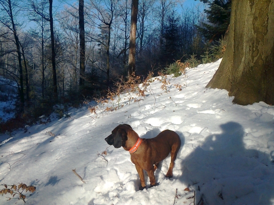 borka bola pozriet rodisko
