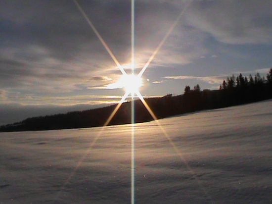 zimné ráno na palesku