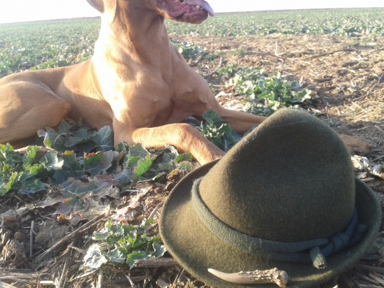 Moj 1 srnčí a celkovo 1 zhod