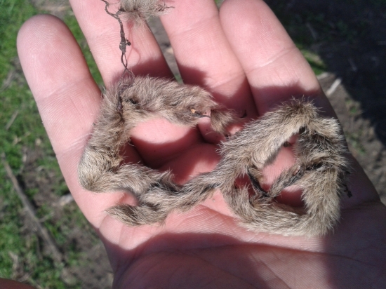 Na miesto zhodíku bolo lyko.