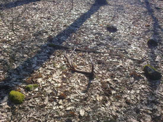 konecne prvy aj ked minulorocny :)