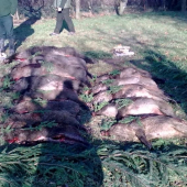 úspešná spločná poľovačka