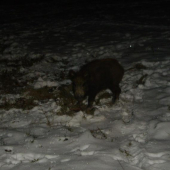 nezlosti sa :D :D ja ti tie orechy nezoberem :D