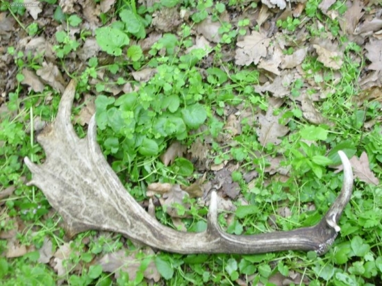 takto tam na mna cakal minuly rok