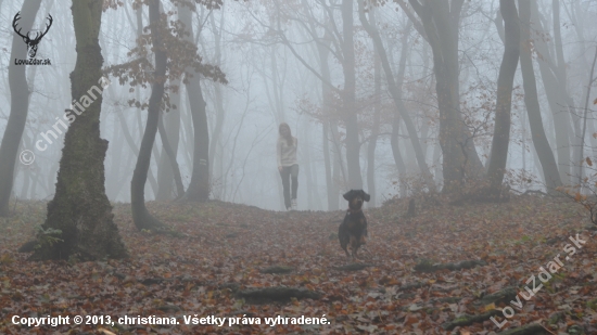 Prechádzka v hmle