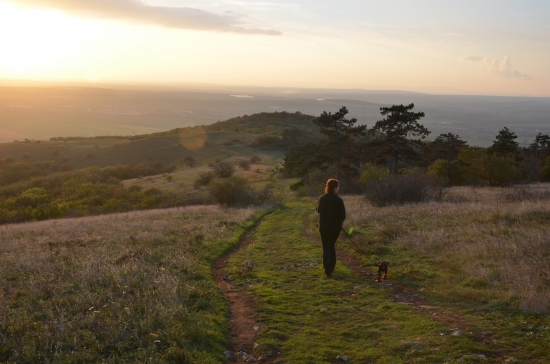 Víkendová prechádzka po Zoborskej lesostepi