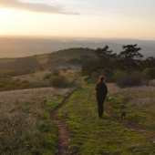 Víkendová prechádzka po Zoborskej lesostepi