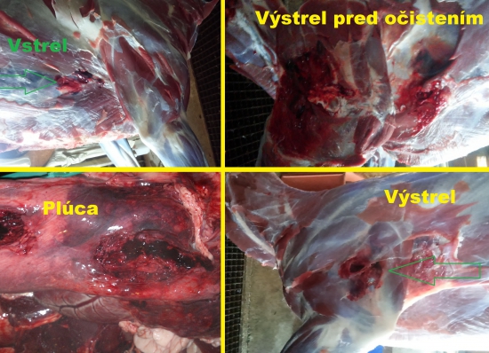 Norma Swift A-frame 10.7g-308W